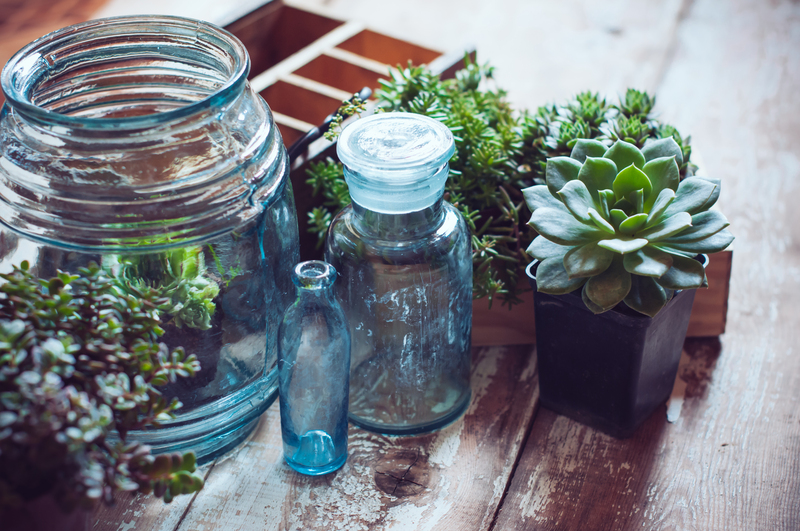 Embrace Effortless Plant Pot Disposal Methods