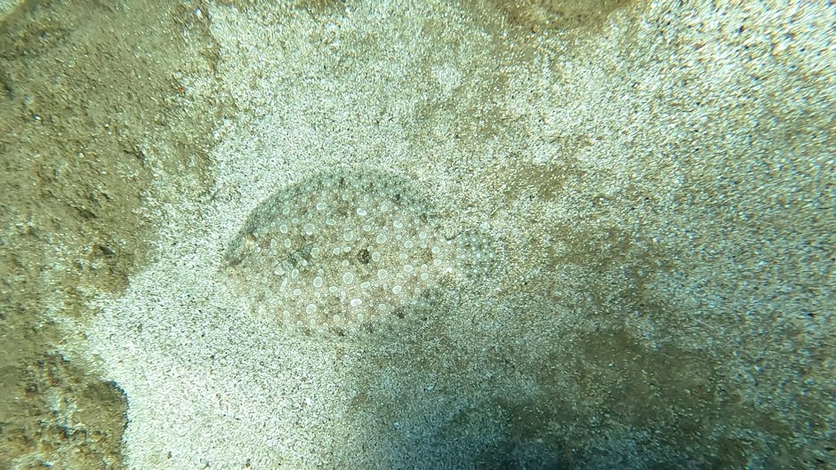 A close-up photograph of a speckled off-white terrazzo surface with small, multicoloured stone fragments embedded throughout. In the center, three white rectangular tiles with black lowercase text are
